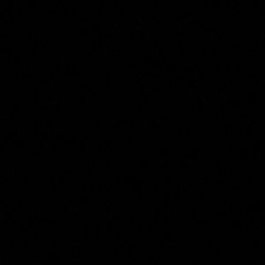 Meet your Posher, Fiona